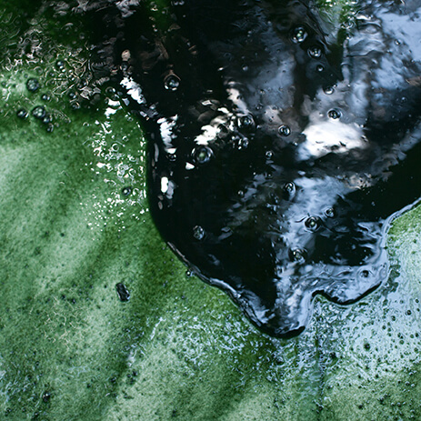 BURE 14_mosaico galeria.jpg